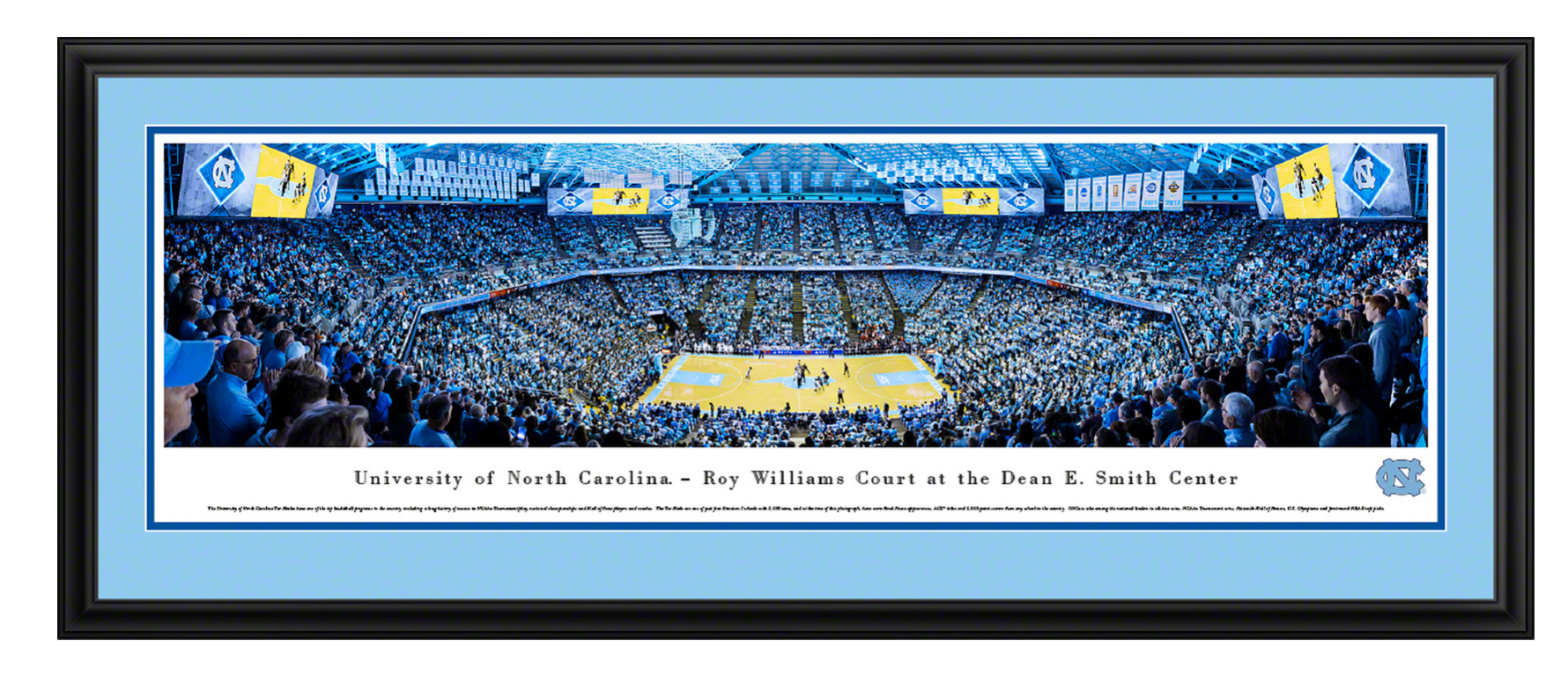 Carolina Panthers Panoramic Poster