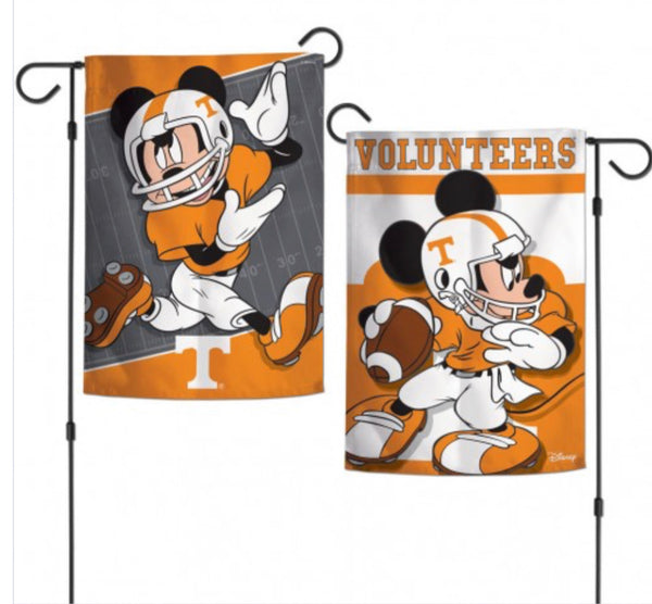 Houston Astros / Disney Mickey Mouse Garden Flags 2 sided 12.5 x 18